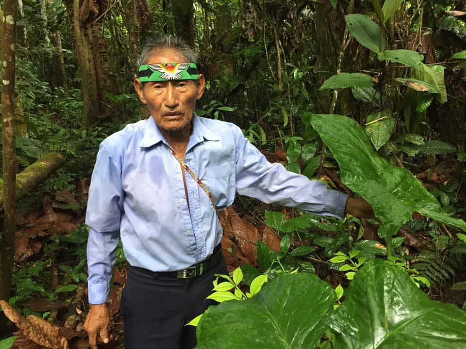 5 dienų Ayahuasca retritas Ekvadore