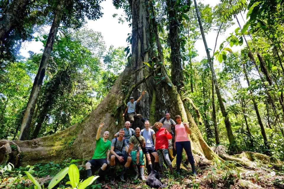 5 dienų Ayahuasca retritas Ekvadore