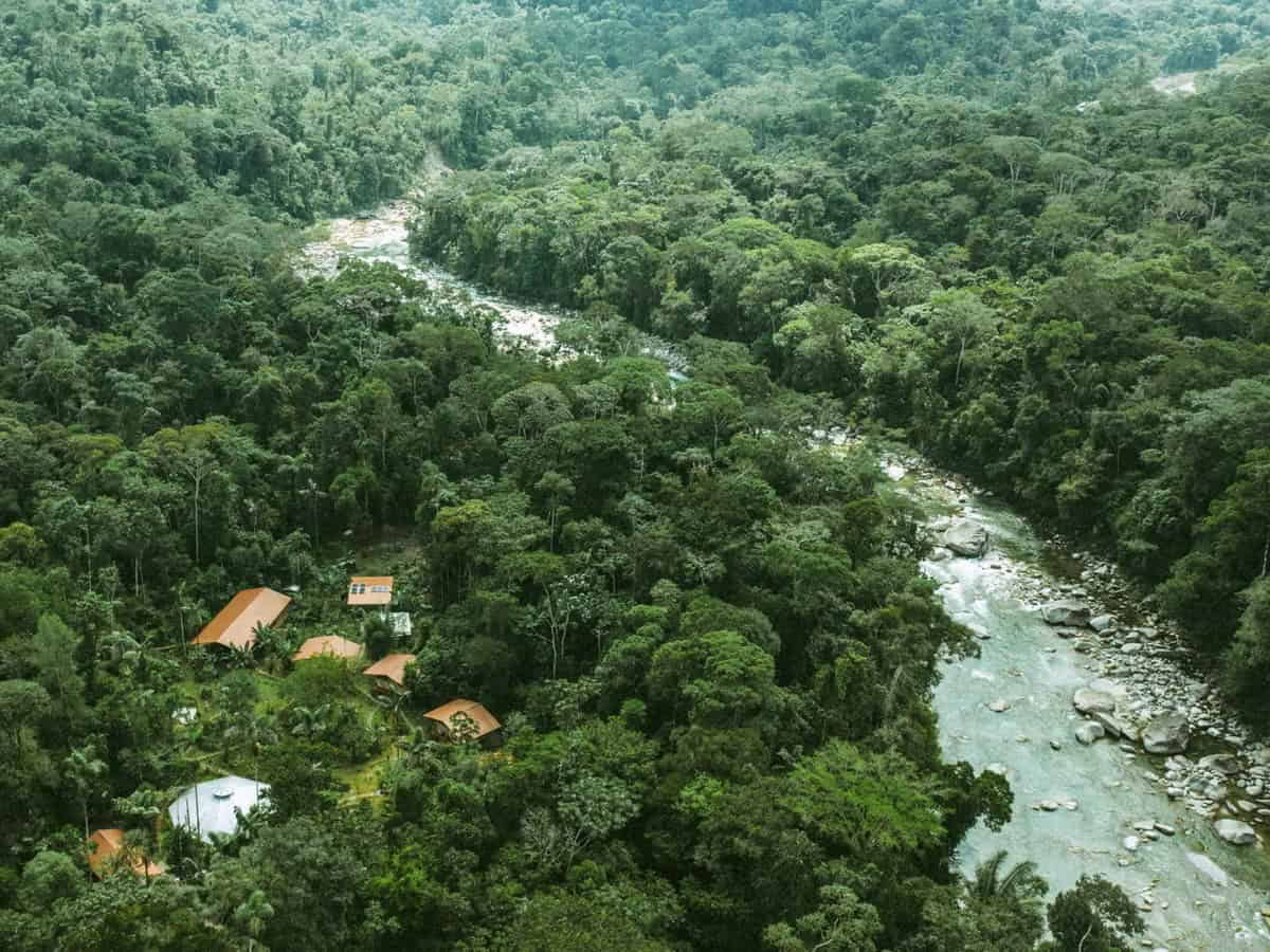5 dienų Ayahuasca retritas Ekvadore