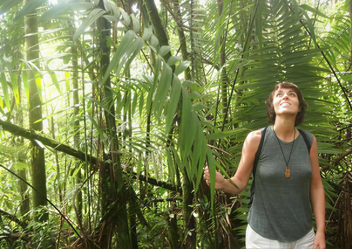 5 dienų Ayahuasca retritas Ekvadore