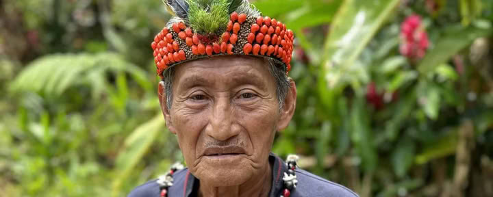 5 dienų Ayahuasca retritas Ekvadore
