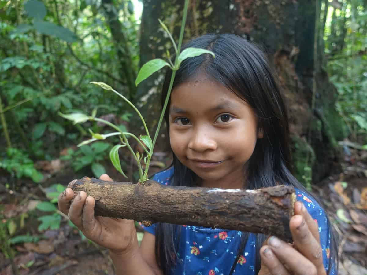 Ayahuasca ceremonija Ekvadore