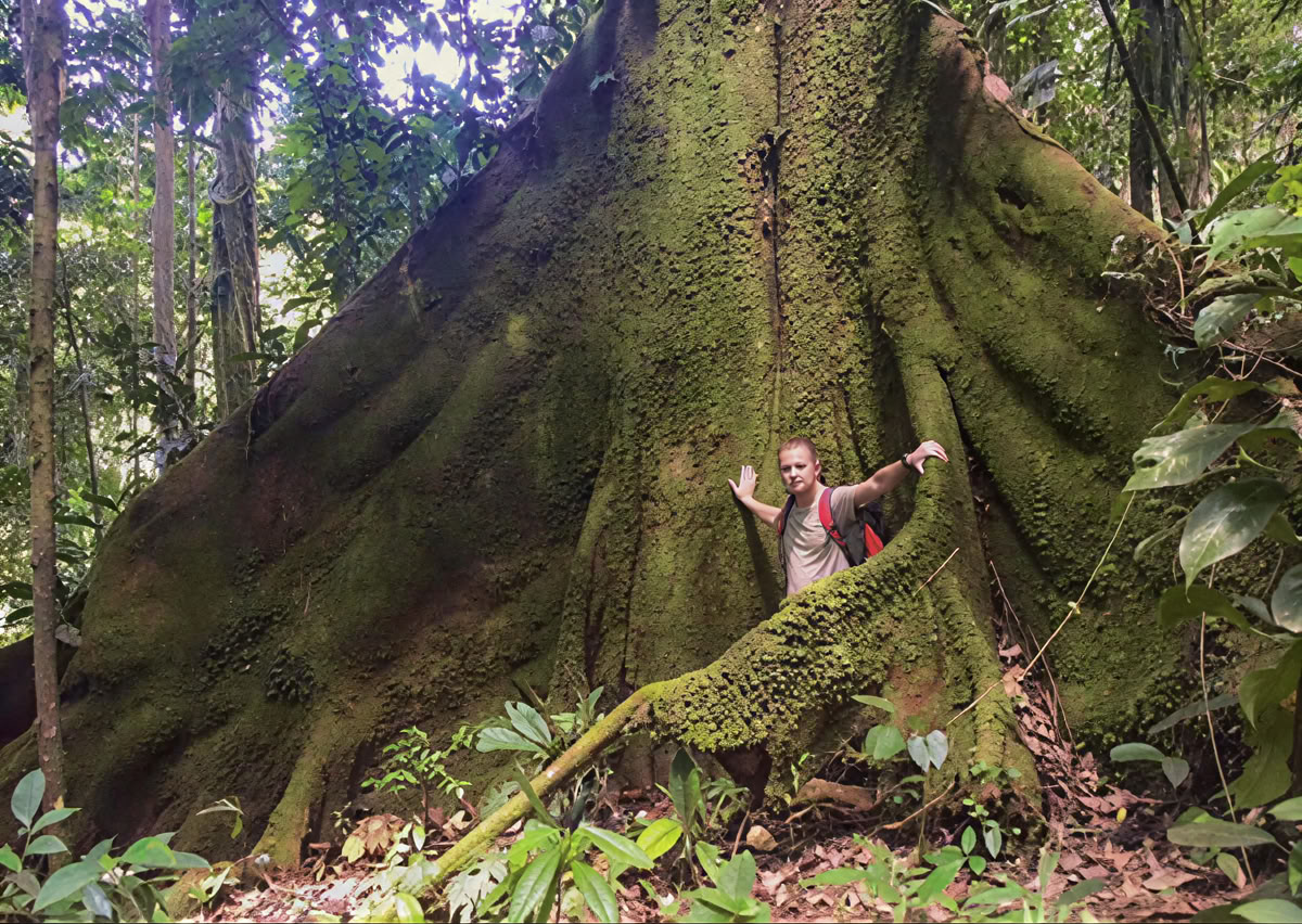 Ayahuasca ceremonija Ekvadore