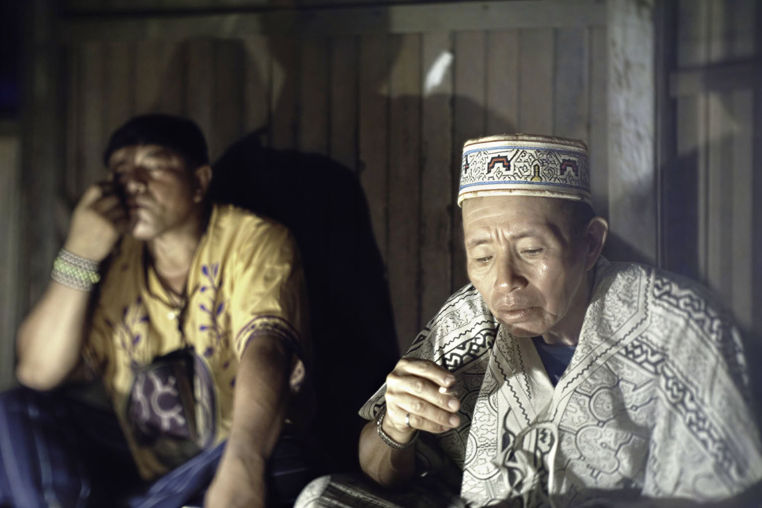30 dienų – ayahuasca ir meistrinių augalų dieta