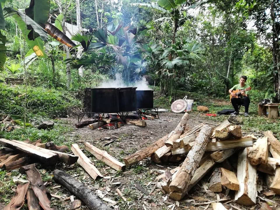30 dienų – ayahuasca ir meistrinių augalų dieta