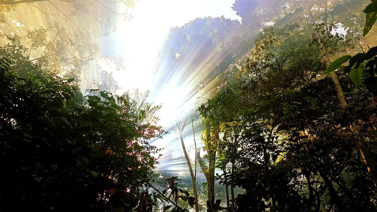 Ayahuasca ir Machu Picchu 13 dienų retritas