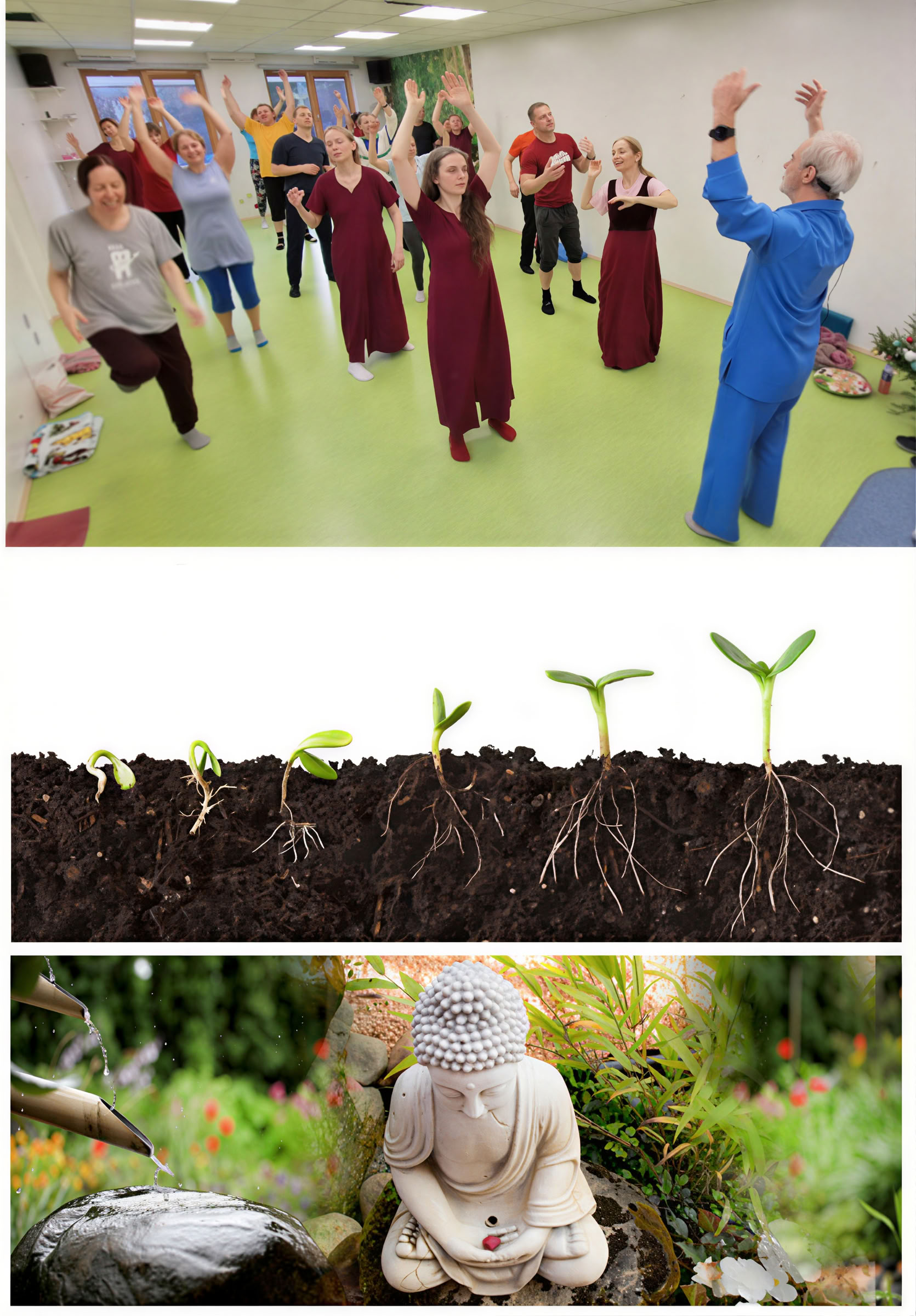 Meditacijos mokykla – 8. Meditacija - kūno, proto ir sielos vienovė