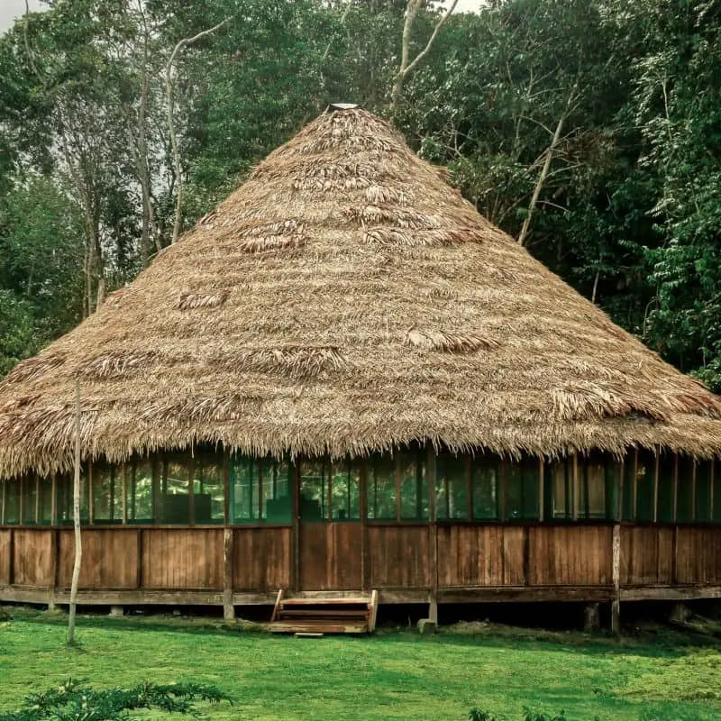 Transformacijos Ayahuasca retritas