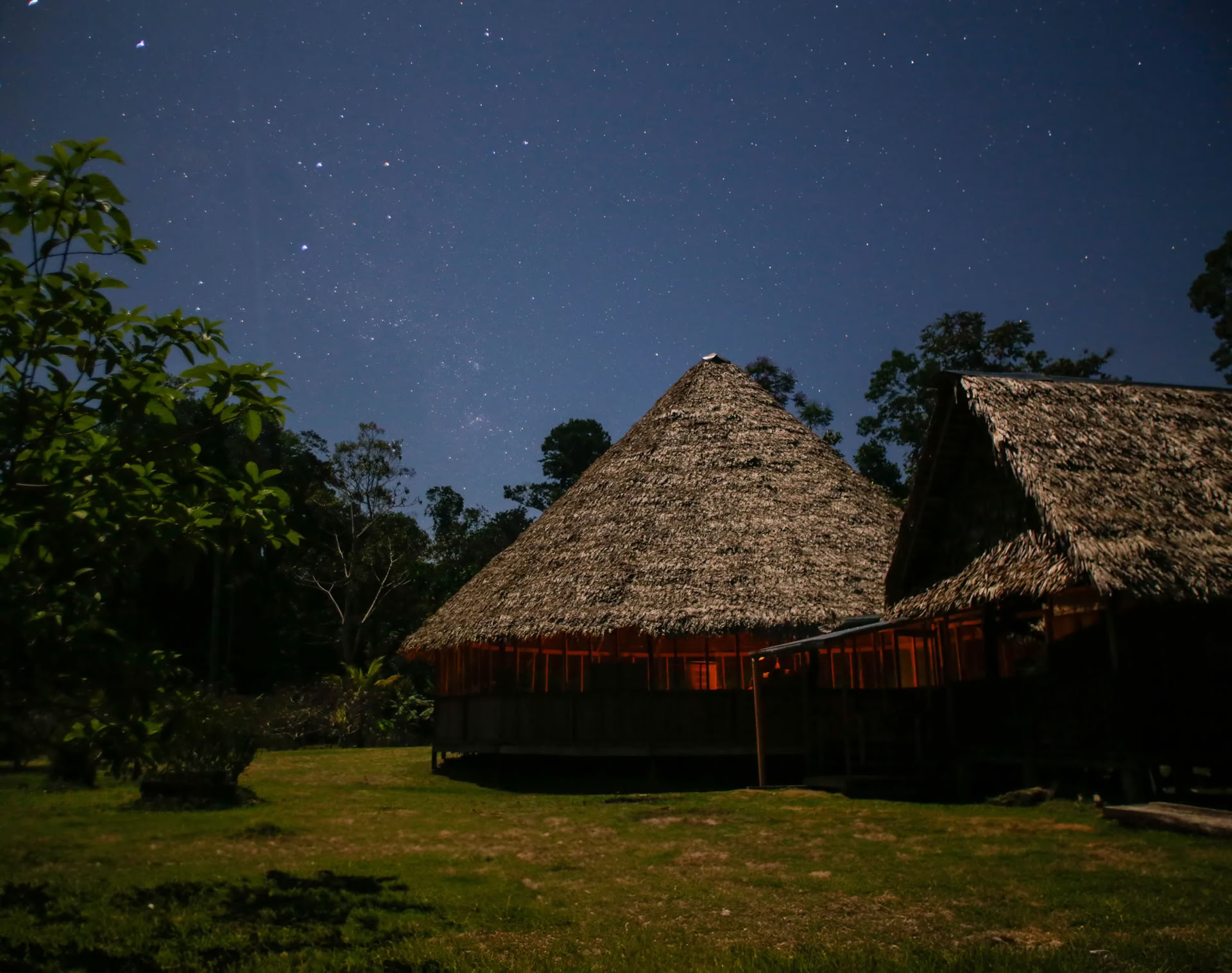 Transformacijos Ayahuasca retritas