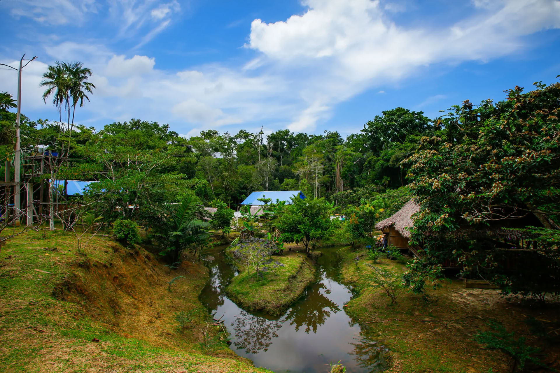 Transformacijos Ayahuasca retritas