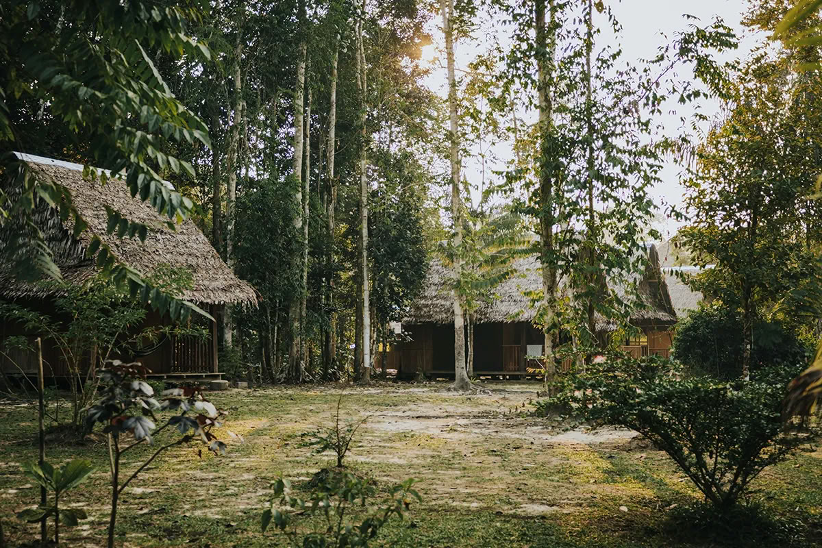 11 dienų Ayahuasca retritas Peru – 2026 m. rugpjūčio 31 d. – rugsėjo 10 d. | Shipibo gydymas ir integracija