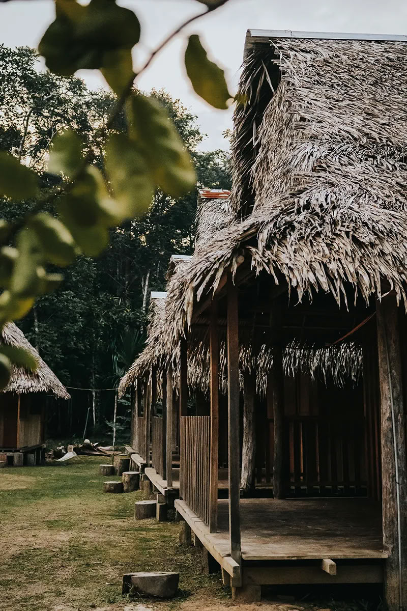 11 dienų Ayahuasca retritas Peru – 2026 m. rugsėjo 18–28 d. | Shipibo gydymas ir integracija
