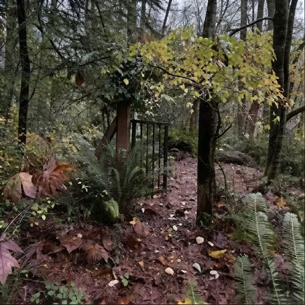 Dovanų kuponas