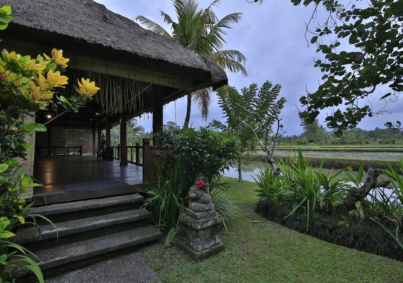 Bali 100 val. jogos imersija