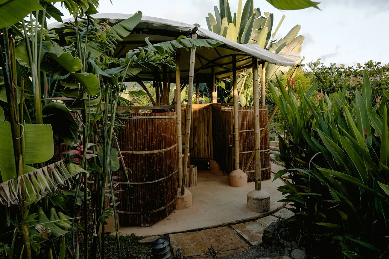 5 naktų ayahuasca retritas