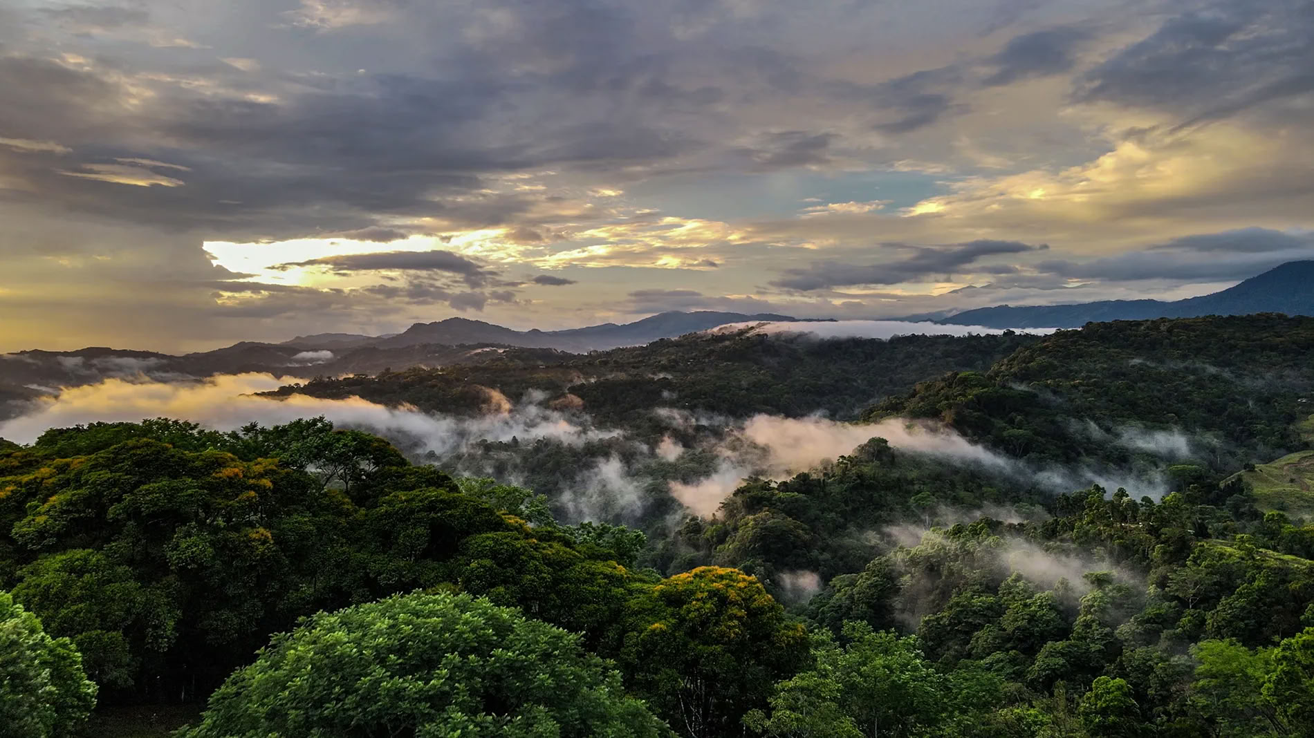 5 naktų ayahuasca retritas