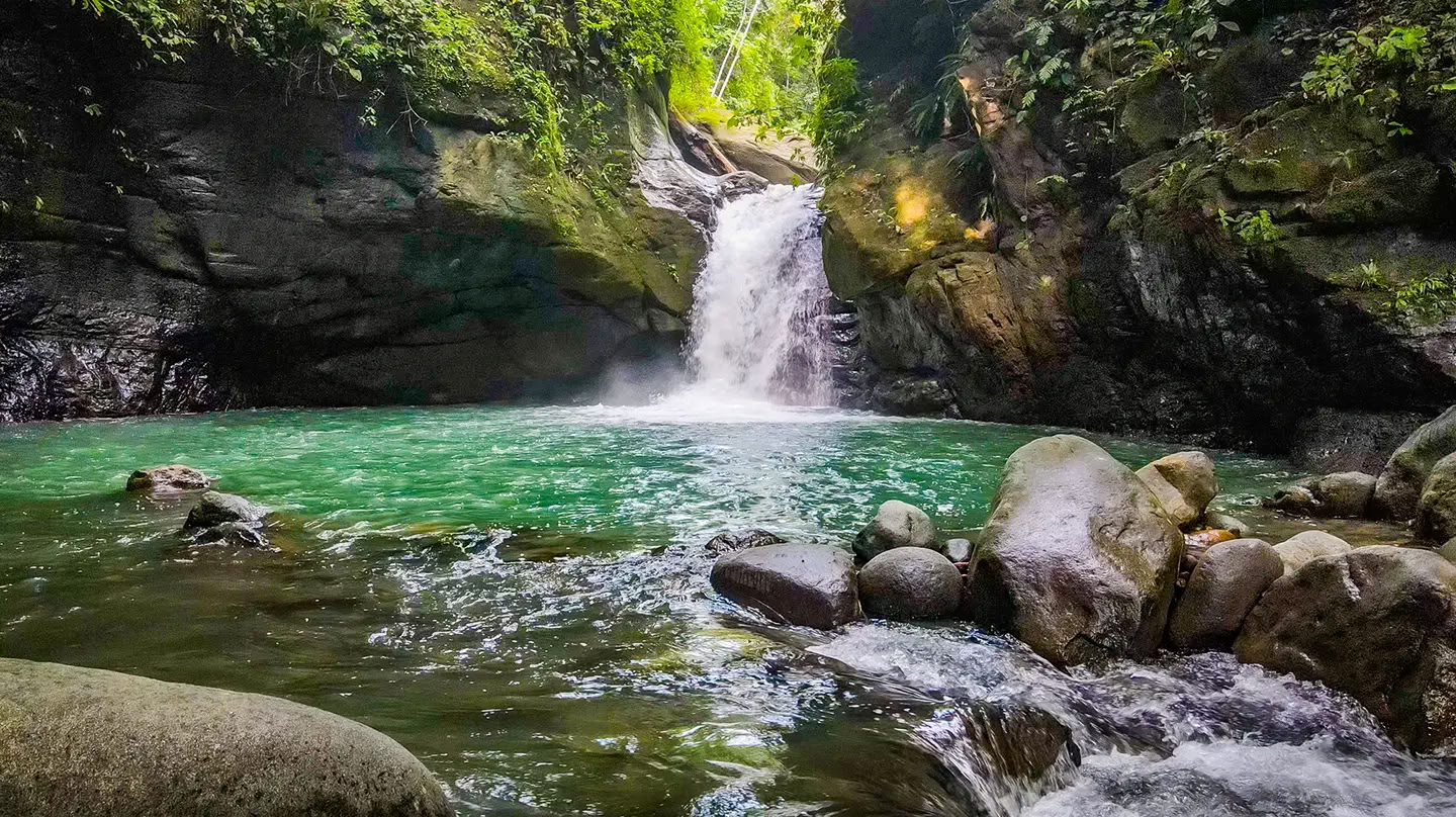 5 naktų ayahuasca retritas