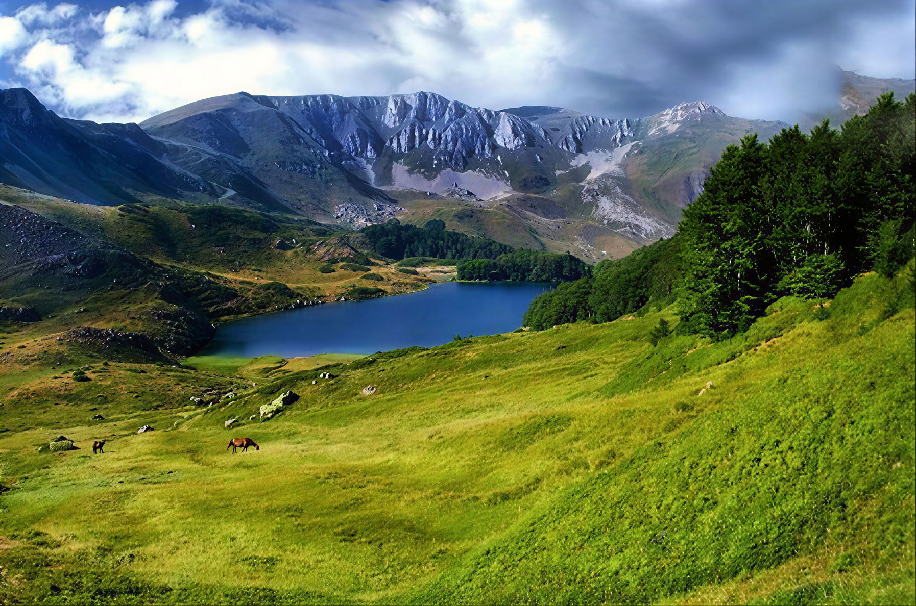 Bjelasica žygis