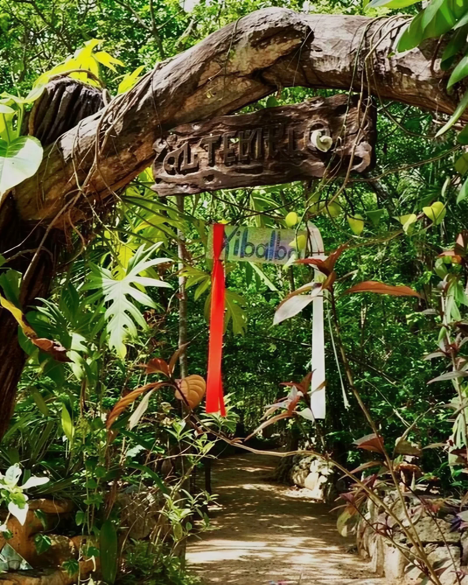 Ayahuasca retritas, Meksika
