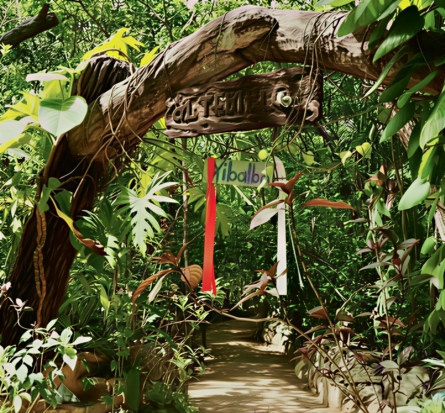 Ayahuasca retritas, Meksika