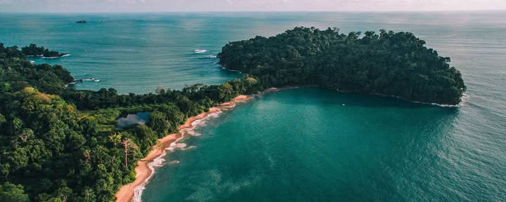 Manuel Antonio dienos išvyka (San Chose dienos išvyka)