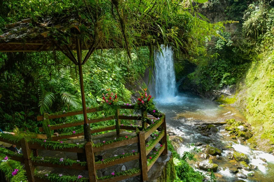 La Paz krioklių sodai