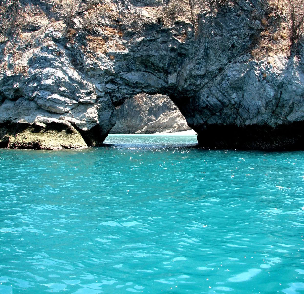 Calypso's Kruizas į Tortugos salą