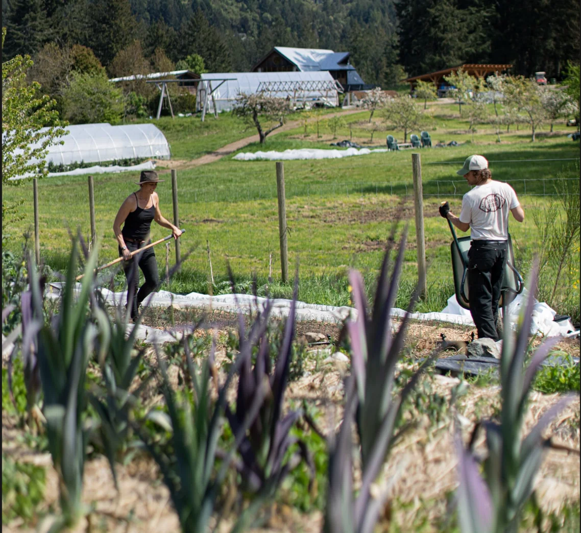 Pasiruošimas kitam sezonui — Stowel Lake Farm