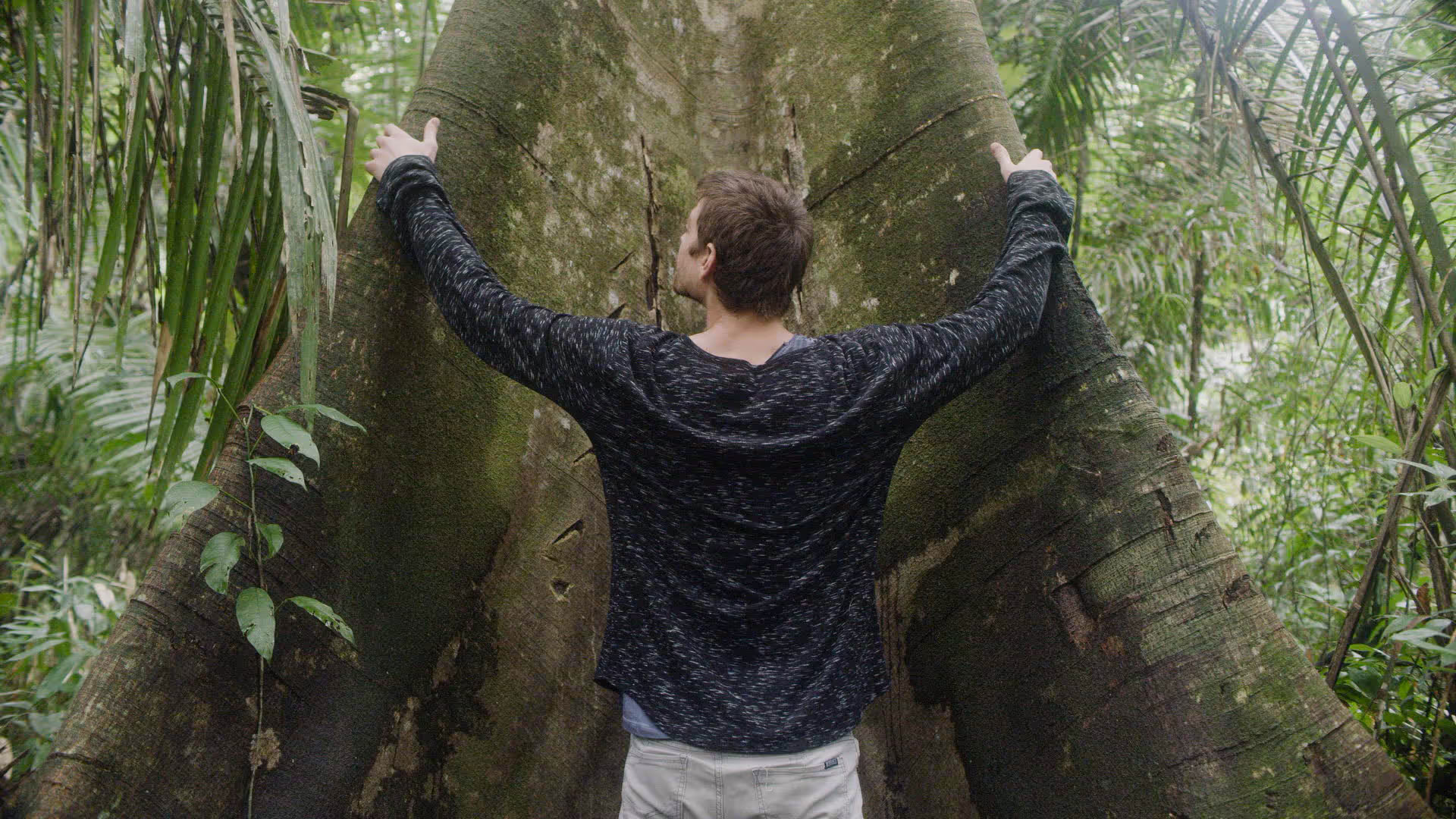 14 dienų ayahuasca retritas