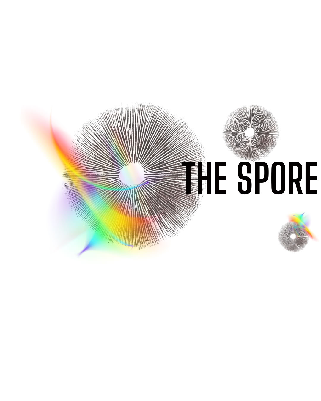 „Spore- Insight Council“