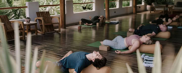 VINYASA LANKSTUMO FLOW