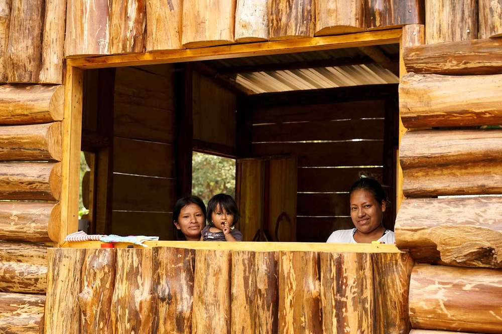 Ayahuasca iniciacijos retritas: 7 ir 14 dienų – 2027 m. vasario 3–24 d.