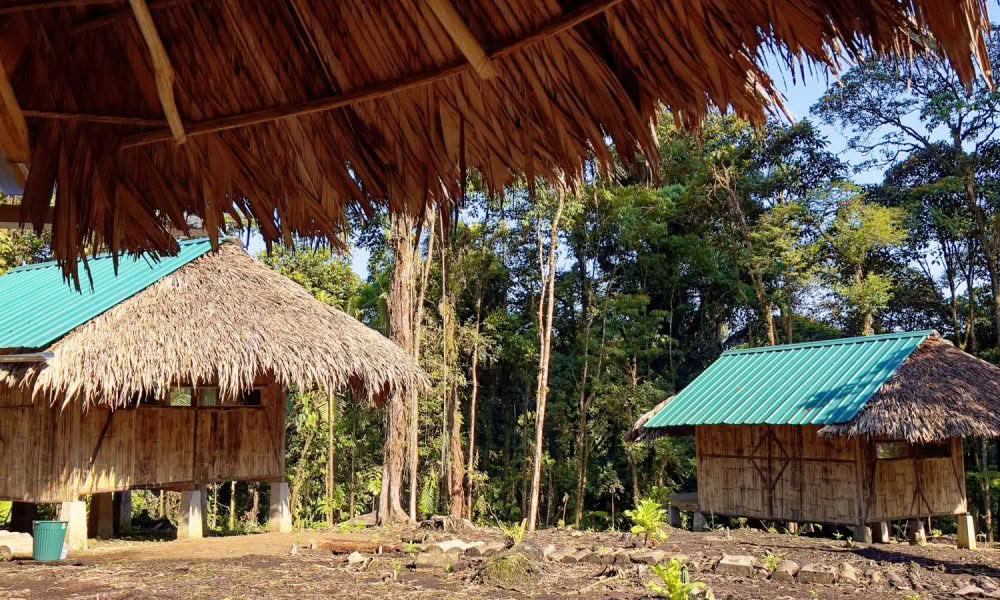 Ayahuasca iniciacijos retritas: 7 ir 14 dienų – 2027 m. vasario 3–24 d.