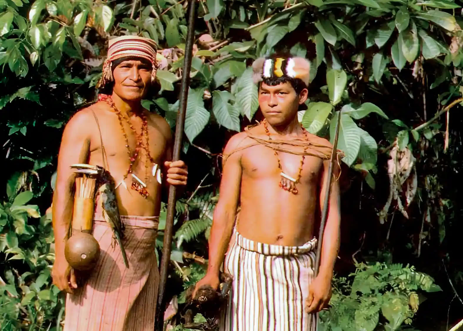 Ayahuasca iniciacijos retritas: 7 ir 14 dienų – 2027 m. vasario 3–24 d.