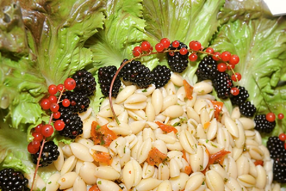 Atsinaujinimo šaknų retritas
