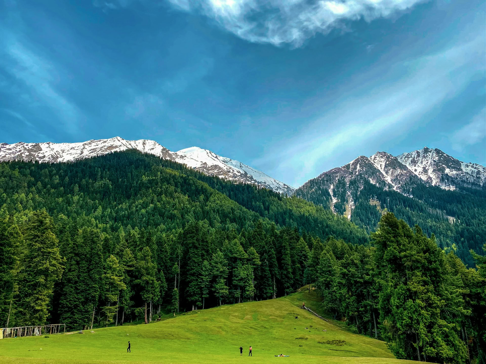 Dal Dreams & Mountain Days: Išskirtinė Kašmyro patirtis