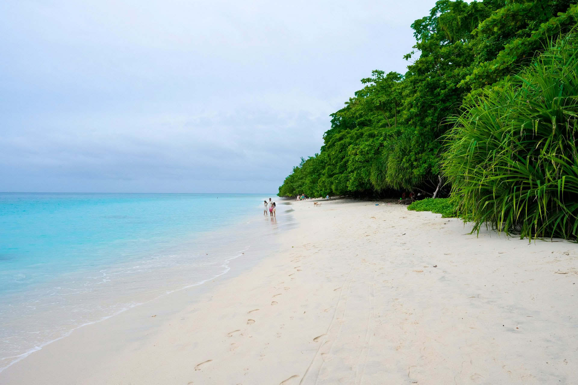 Azure Andaman Escape: Port Blair & Havelock retritas