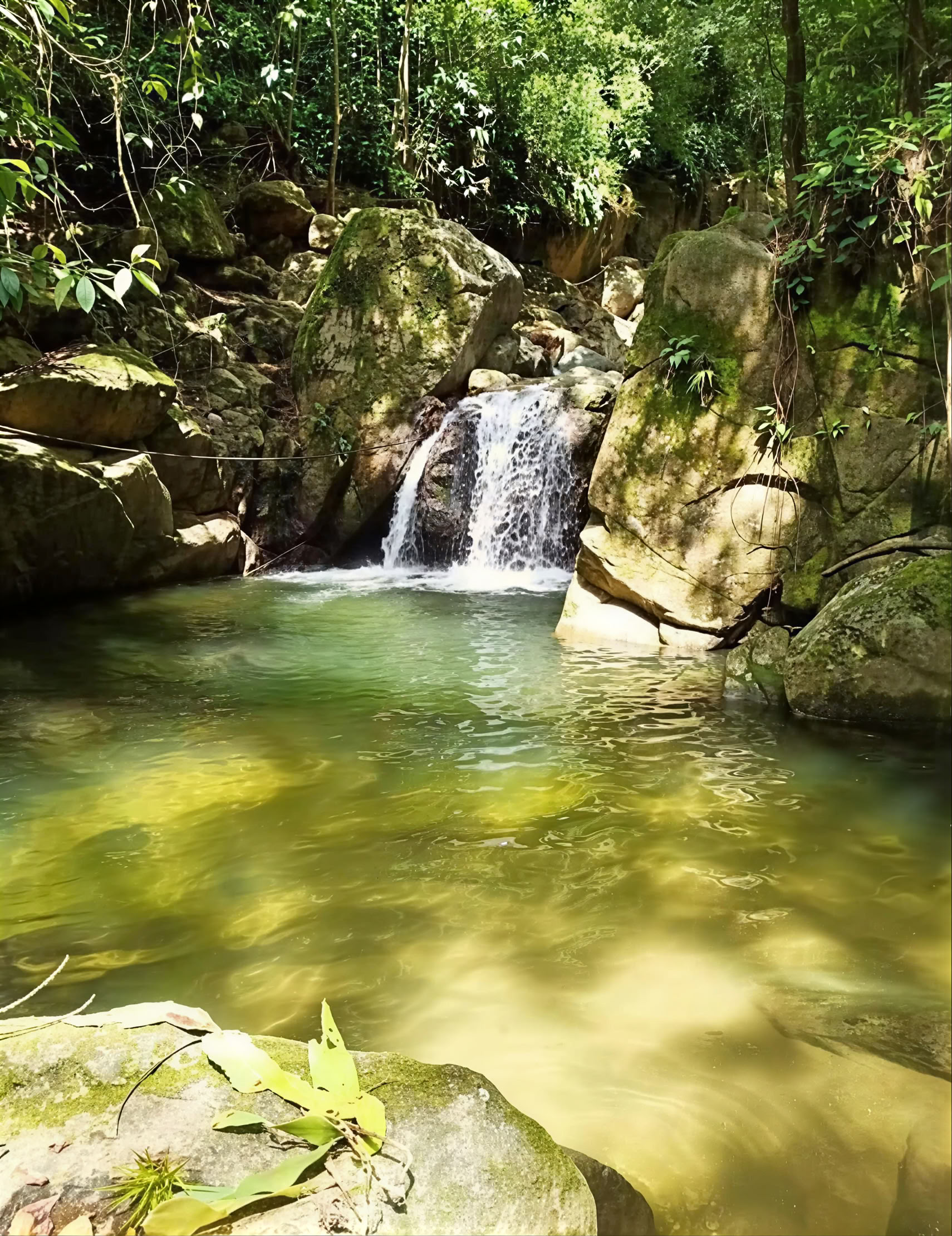 Šventas ajahuaskos retritas Santa Marta, Kolumbijoje