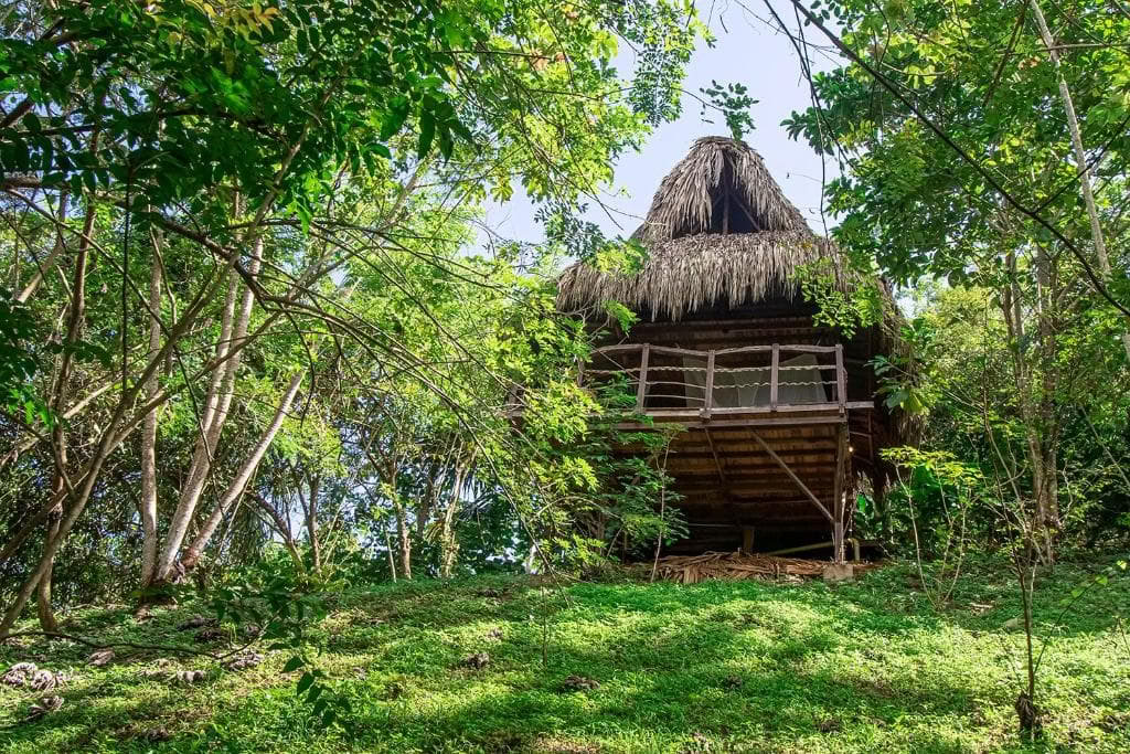 Šventas ajahuaskos retritas Santa Marta, Kolumbijoje