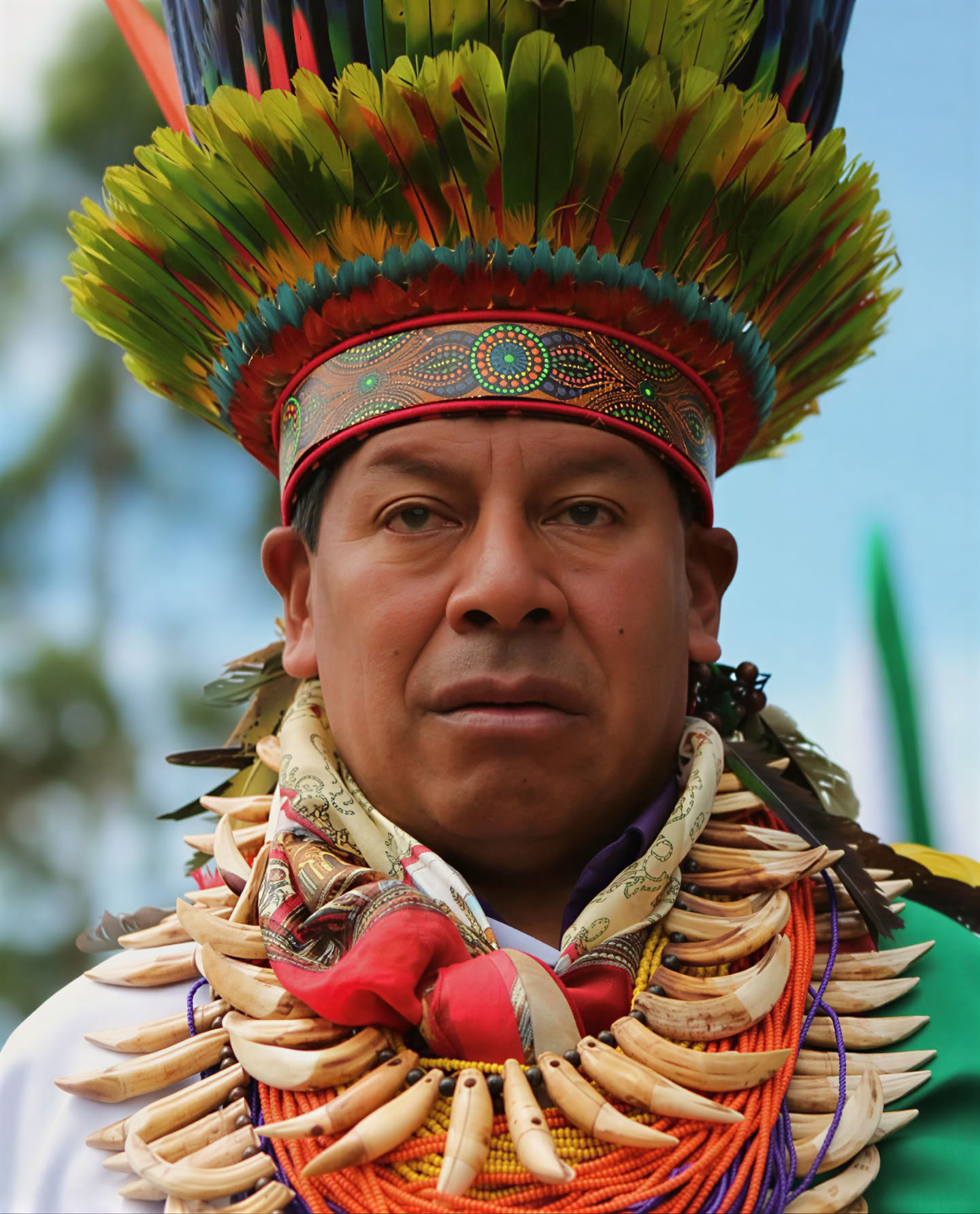 Šventas ajahuaskos retritas Santa Marta, Kolumbijoje