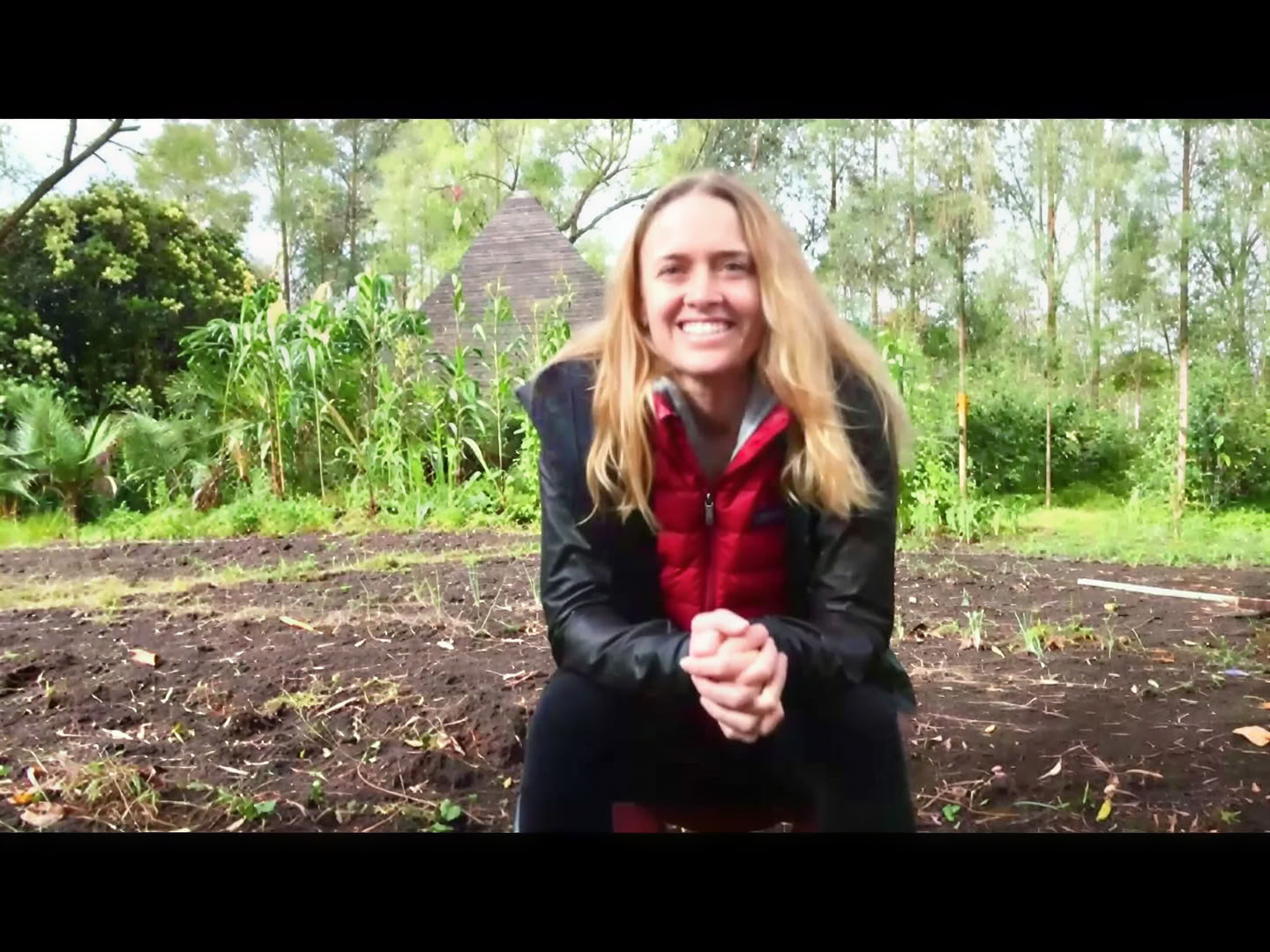 Ayahuasca retritas