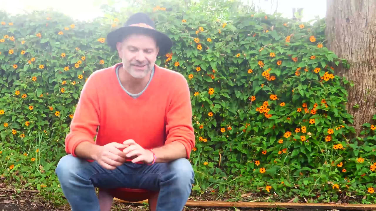 Ayahuasca retritas
