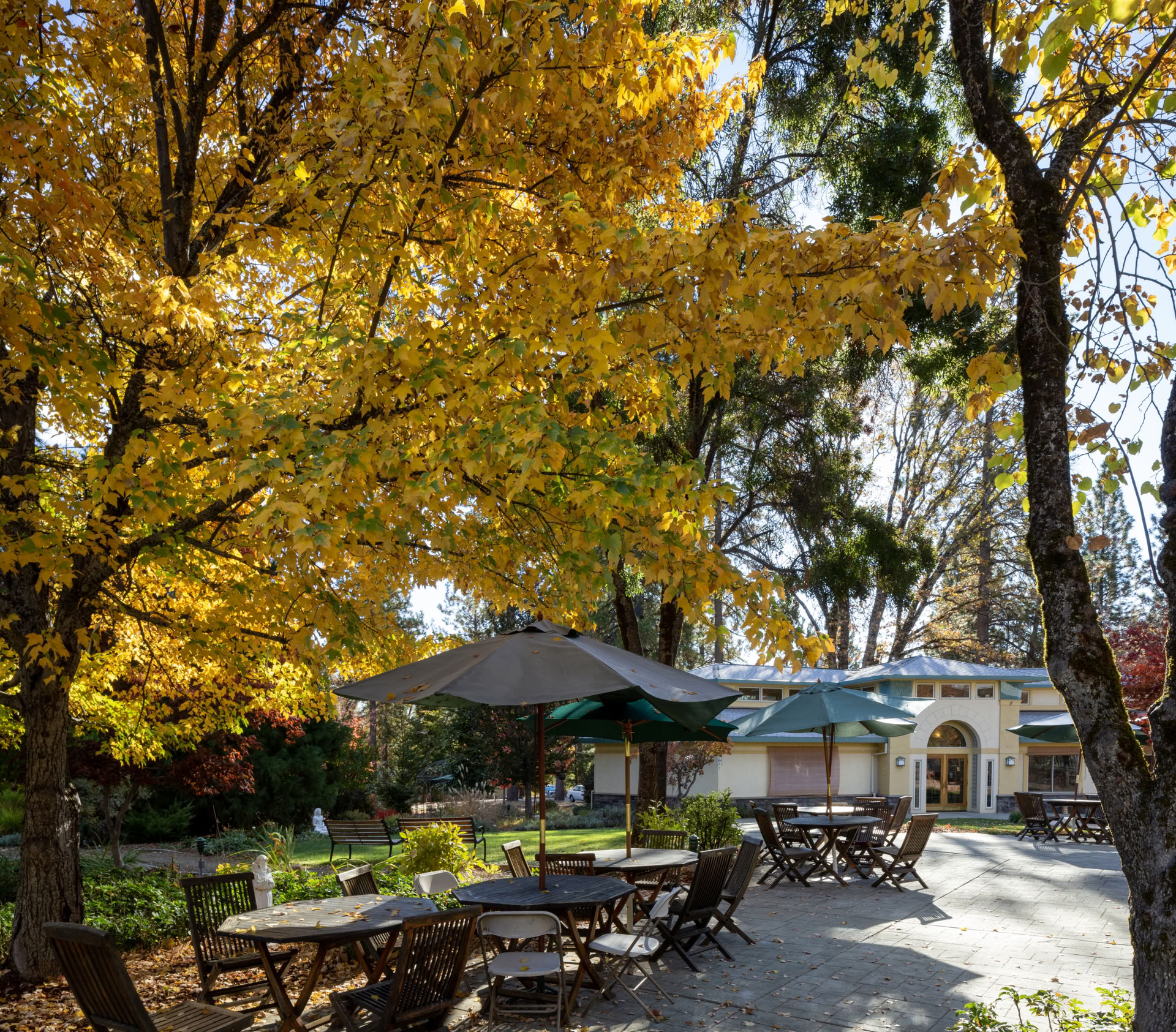 „The Expanding Light“ retritas