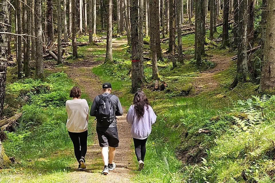 7 dienų gaubtinės žarnos ir kepenų valymas – 2026 m. rugsėjo 4–13 d.