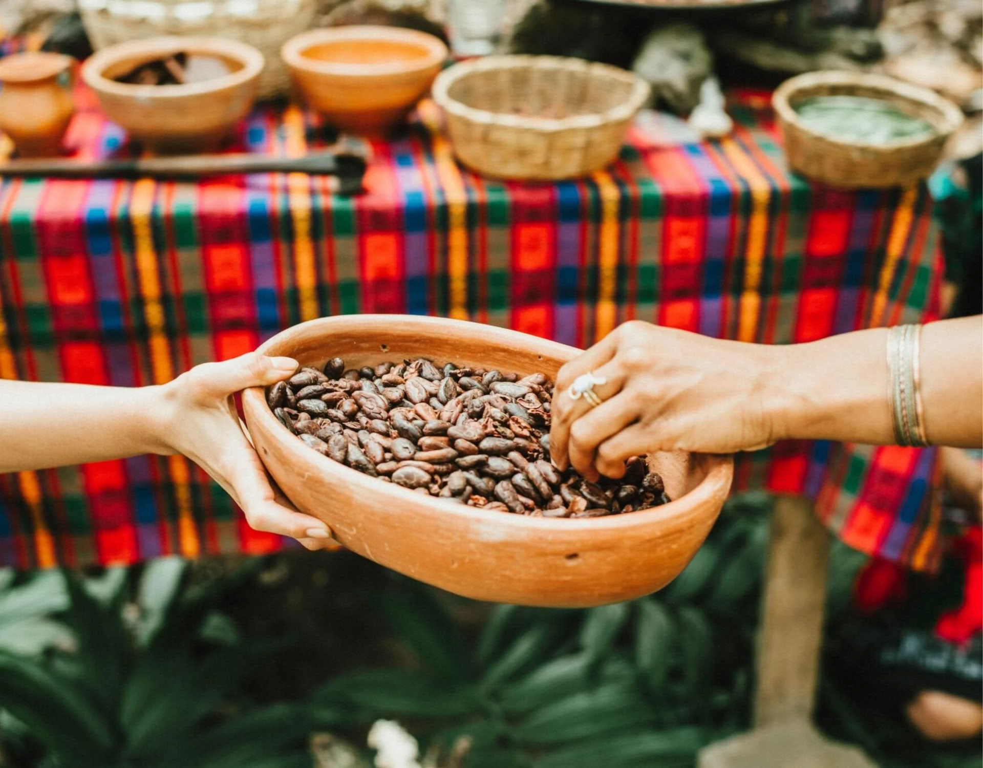 Cacao Source mokymai