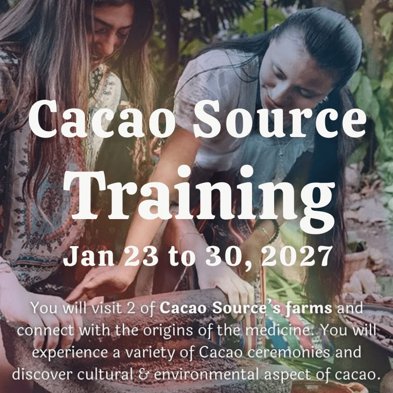 Cacao Source mokymai