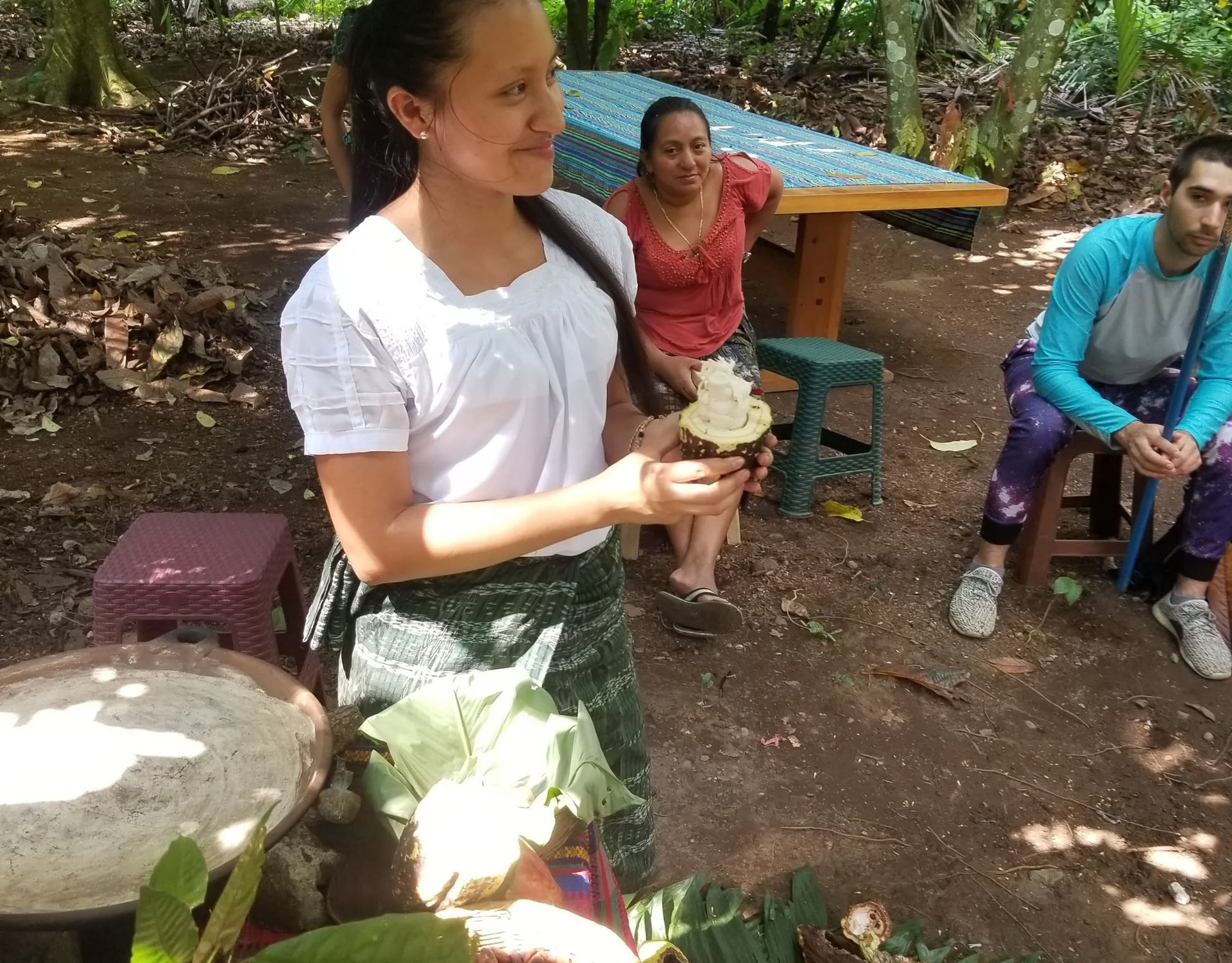 Cacao Source mokymai