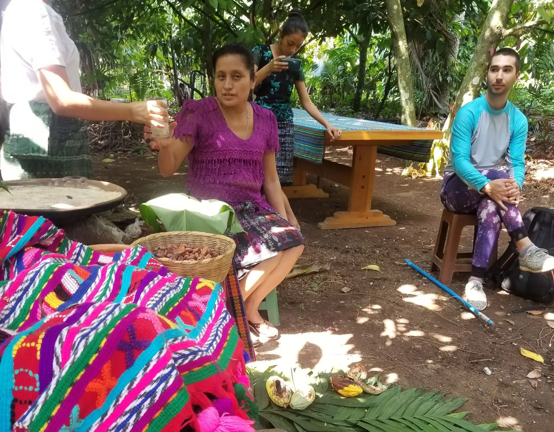 Cacao Source mokymai