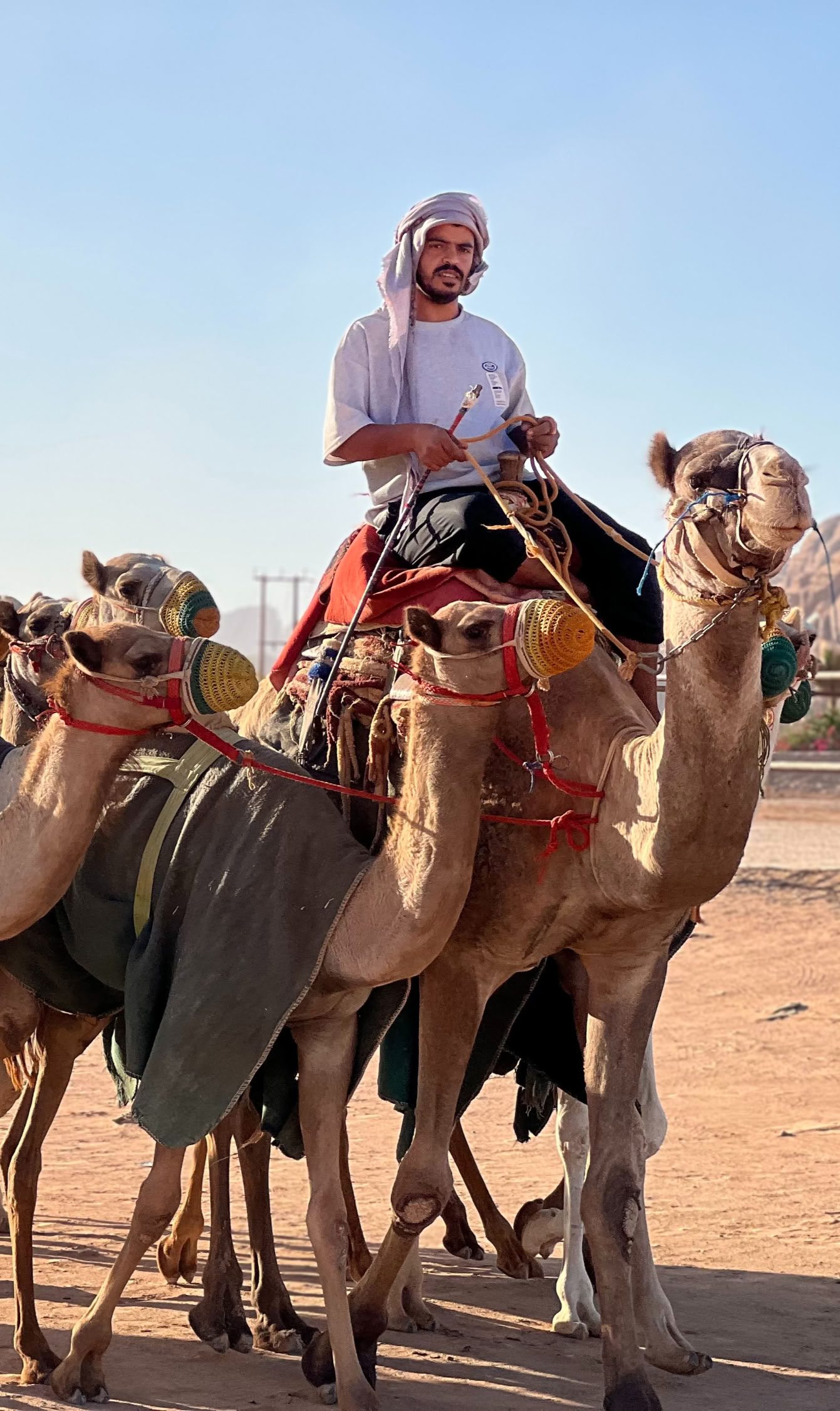 Dykumos nuotykis Vadi Rume, Jordanijoje
