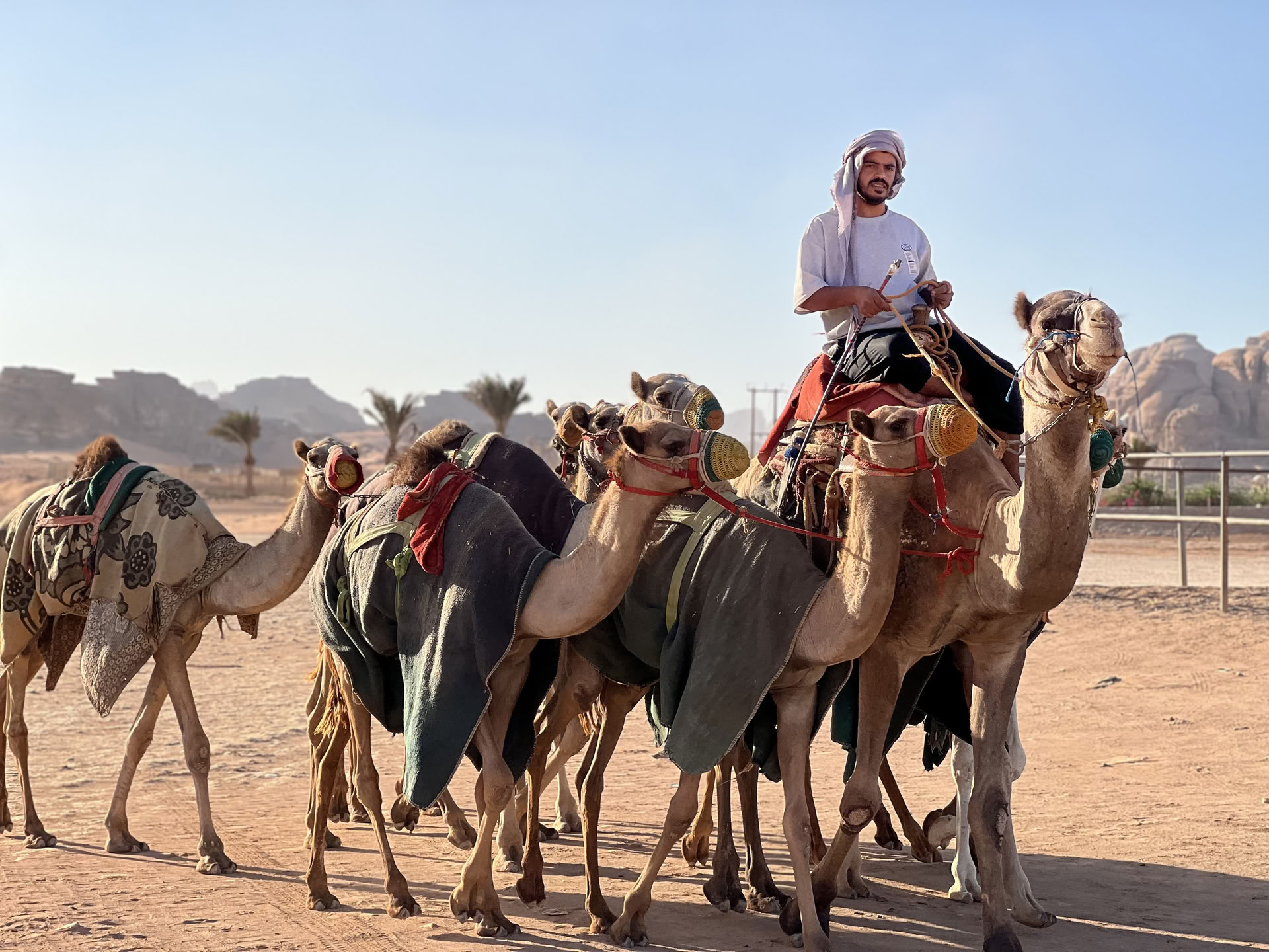 4 dienų kupranugarių žygio nuotykis su beduinais Vadi Rume, Jordanijoje